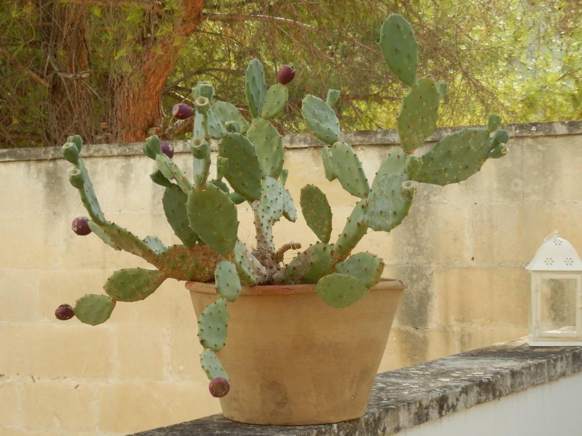 Casa Lauretta - Terrazza - Garage Wifi E Bici Gratuite Villa Lecce Eksteriør bilde